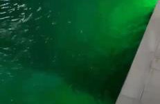 Chácara em Piracaia - Photo 49