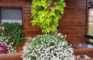 Apartments Sanja - Foto 40