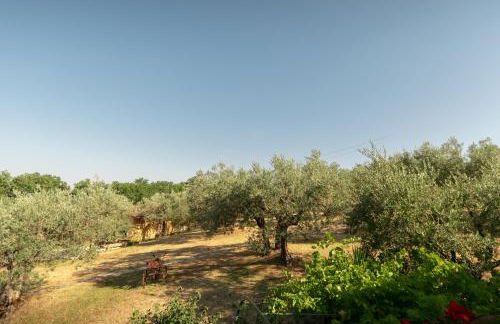 Agriturismo Assisi La Rocca - Foto 127