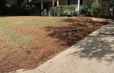 Donna’s Charm: 3 BR/king-suite/pools/golf - Foto 27