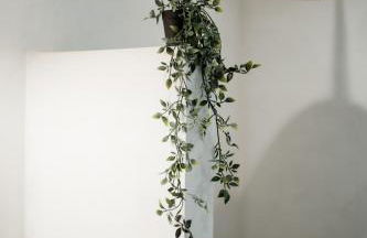 Magnolia Villas Potos Thassos - Photo 38