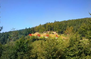Domki Beskid - Foto 53