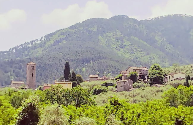 Casale Delle Camelie - Foto 42