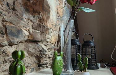 Azoka by the River- Proença-a-Nova - Foto 6