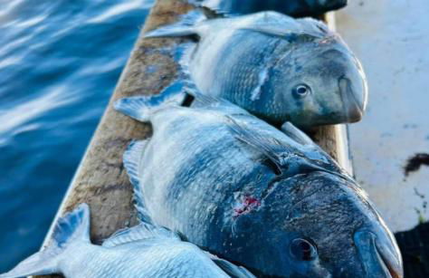 Beautiful Paradise for You - Foto 7