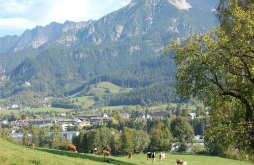 Ferienhaus in Wittenschwand - Foto 38