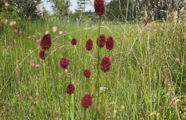 Ferienwohnung Sole Della Sera - Foto 28