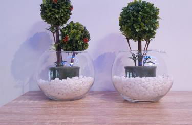 Tom's House - Photo 22