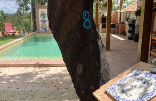 Refúgio da Águia - Foto 45