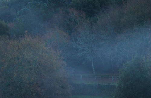 Quinta do Caritel - Foto 37