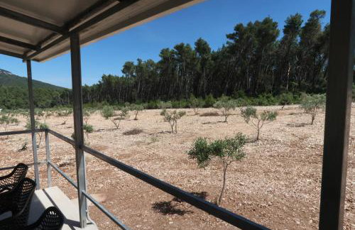 Robinson olive tree huts - Photo 21