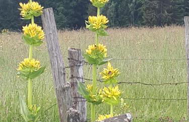 La maison d'antan - Foto 19