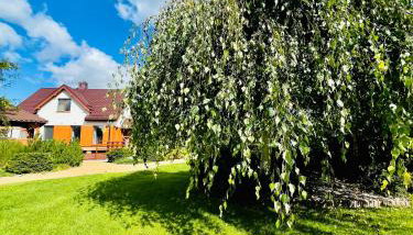 Dom Ogrodem Otulony - Foto 3