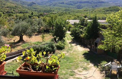 LA ANTIGUA TAHONA - Foto 17