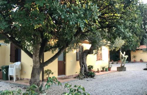 Bouganville in Villa Greco - Foto 31