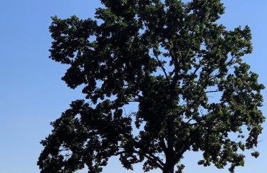 Domki na piasku - Foto 22