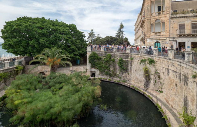 Excursión a Siracusa y la isla de Ortigia - Foto 8