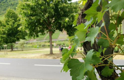 Ferienwohnung Moselblick - Photo 26