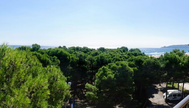 APCOSTAS La Pineda / Dos Dormitorios - Foto 4