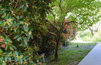 Tenuta Lo Scricciolo - Foto 24