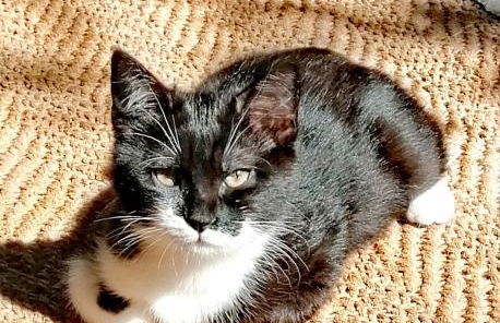 Home Shanti - Foto 18