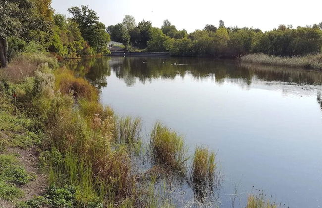 8 Person Holiday Home in Holbaek - Foto 24