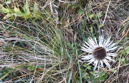 Jaiterhof - Photo 61