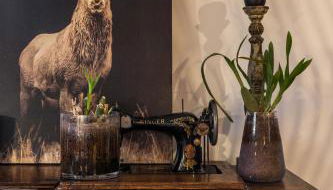 Appartement Native - Photo 4