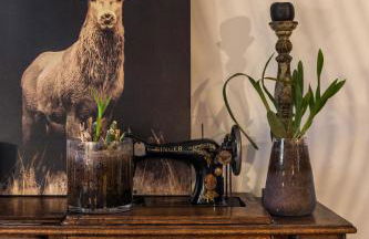 Appartement Native - Photo 4