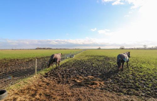 Granada at Avalon Eco Farm - Foto 27