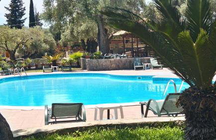 Aphrodite Studios & Pool - Foto 4