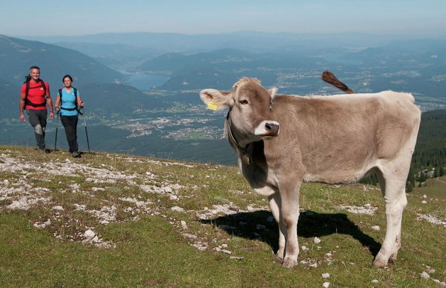 Lovely Apartment in Tropolach With Sauna - Foto 22