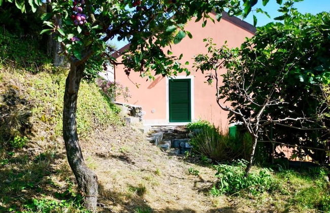 Agriturismo LaValleggia - Foto 16