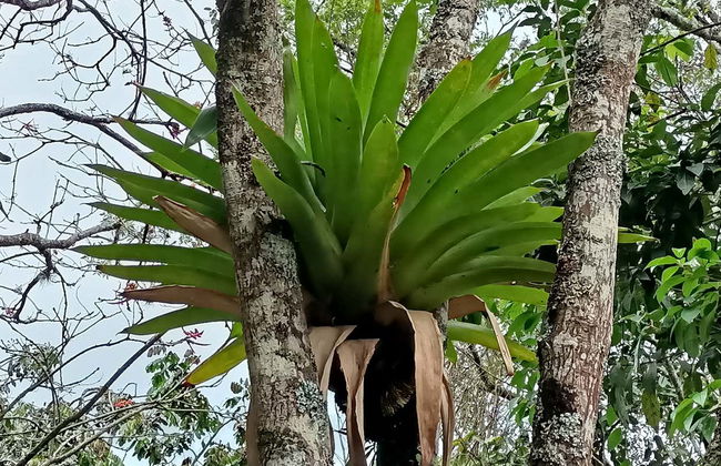 Parque de la Vida Free Tour - Photo 4