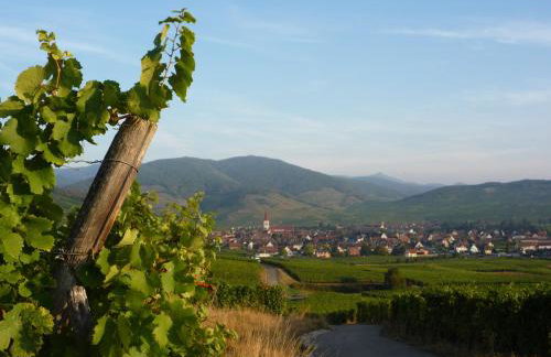 Gite Kaefferkopf - Foto 8