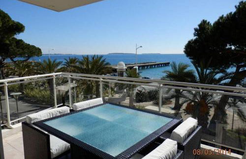 Royal Palm - Foto 11