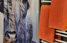 Alpenflair-Chalets-Balderschwang - Foto 4