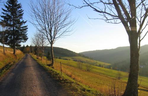 Haus Keller Ferienwohnungen - Foto 25