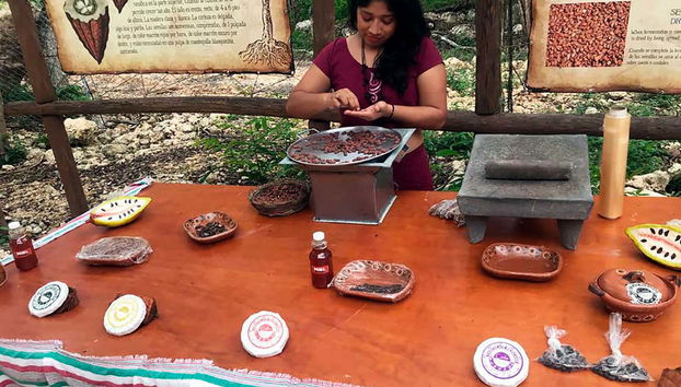 Chococacao Maya + Cenote Tour - Foto 5