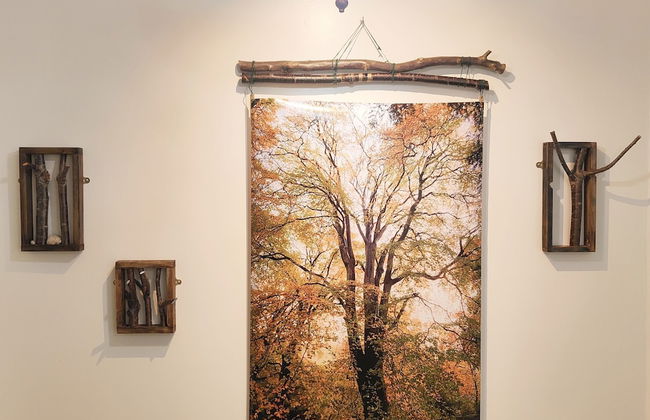 Mourne Mountain Art Apartments - Foto 75