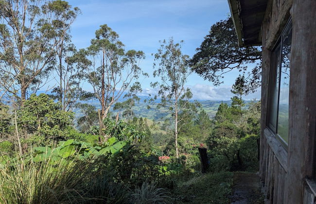 Campos de Oro Wilderness Lodge - Photo 55