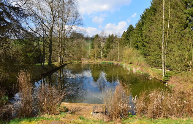 Holiday Home not far From the Small Town of Durbuy - Photo 74