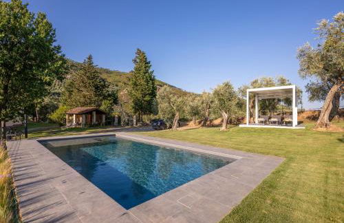 Villa in Tuscany with Pool and Olive Grove - Photo 36