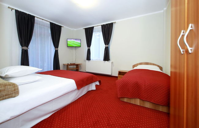 Pensiunea Elemar - Foto 8