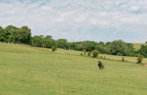 Alltybrain Farm Cottages and B&B - Foto 87