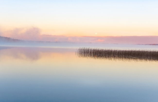 Joutsenlampi - Foto 28