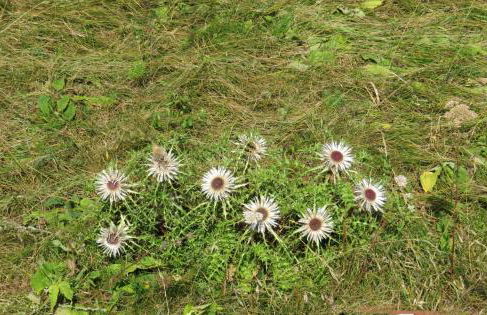 Ferienwohnung Rhön - Foto 32