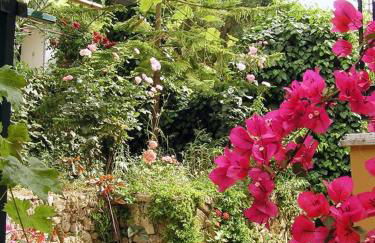 LITHARI PENTHOUSE - Foto 25