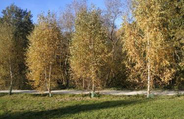 Ranczo pod lasem - Foto 21