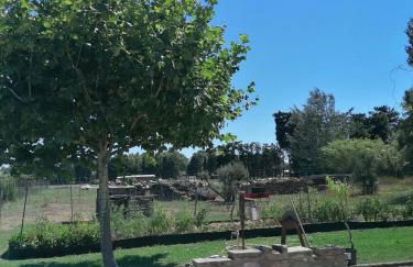 Masribou2 - Photo 18